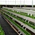 Wholesale Strawberry Hydroponic Growing Systems Agriculture Farm Soilless Strawberry Planting